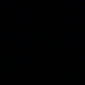 Meet your Posher, Callie